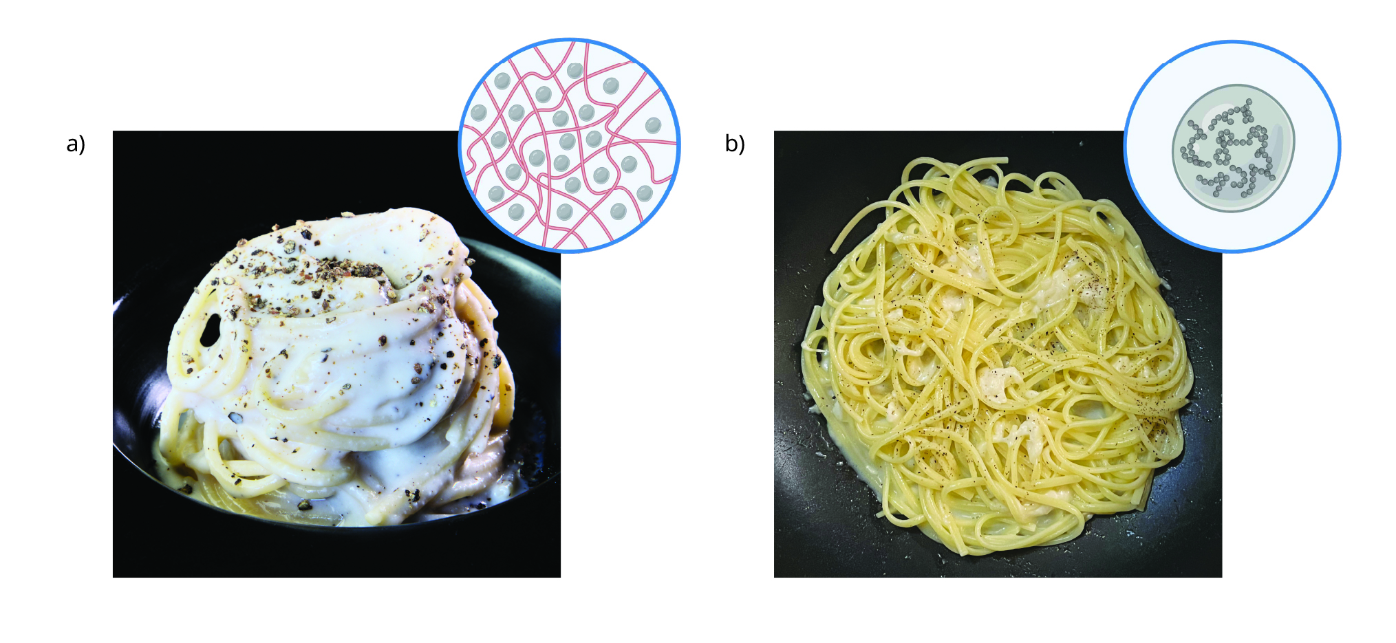 A photo of a creamy cacio e pepe is shown next to a photo of broken cacio e pepe. Both images include an inset diagram that shows their internal protein structure. 