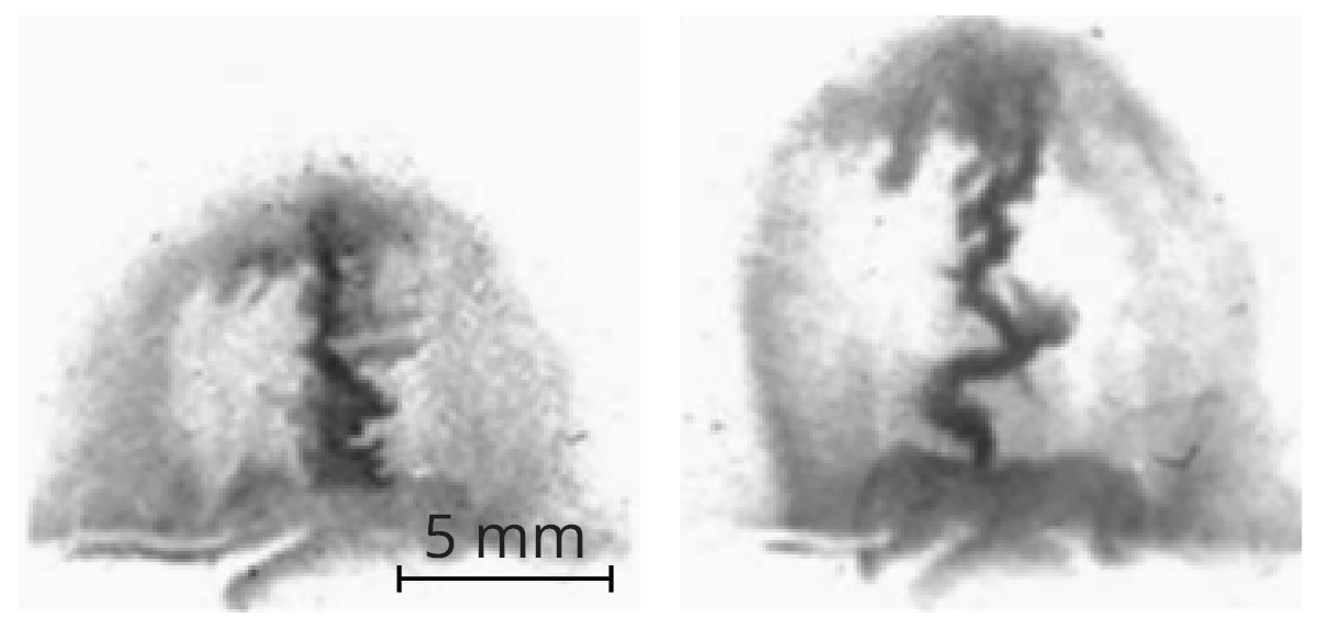 Two images of x-ray emission formed from jets of plasma created in the lab.