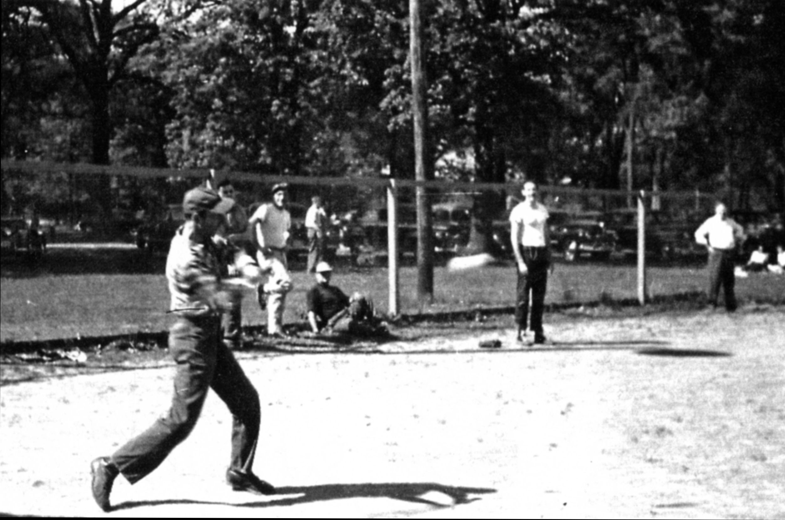 Dancoff_Baseball