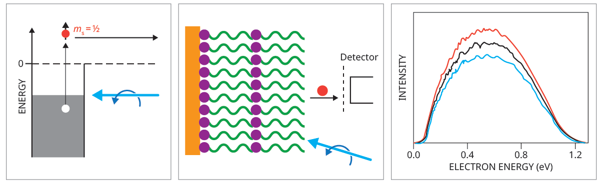 The left panel shows a red dot representing a spin-up electron being excited to a higher energy level. The middle panel shows purple dots and green squiggles representing chiral material and a red dot representing an electron being ejected toward a detector. The right panel’s x-axis denotes electron energy, and the y-axis, intensity; the graph has a red curve that peaks at the highest intensity, a blue curve that shows the lowest maximum, and a black curve that sits between them.