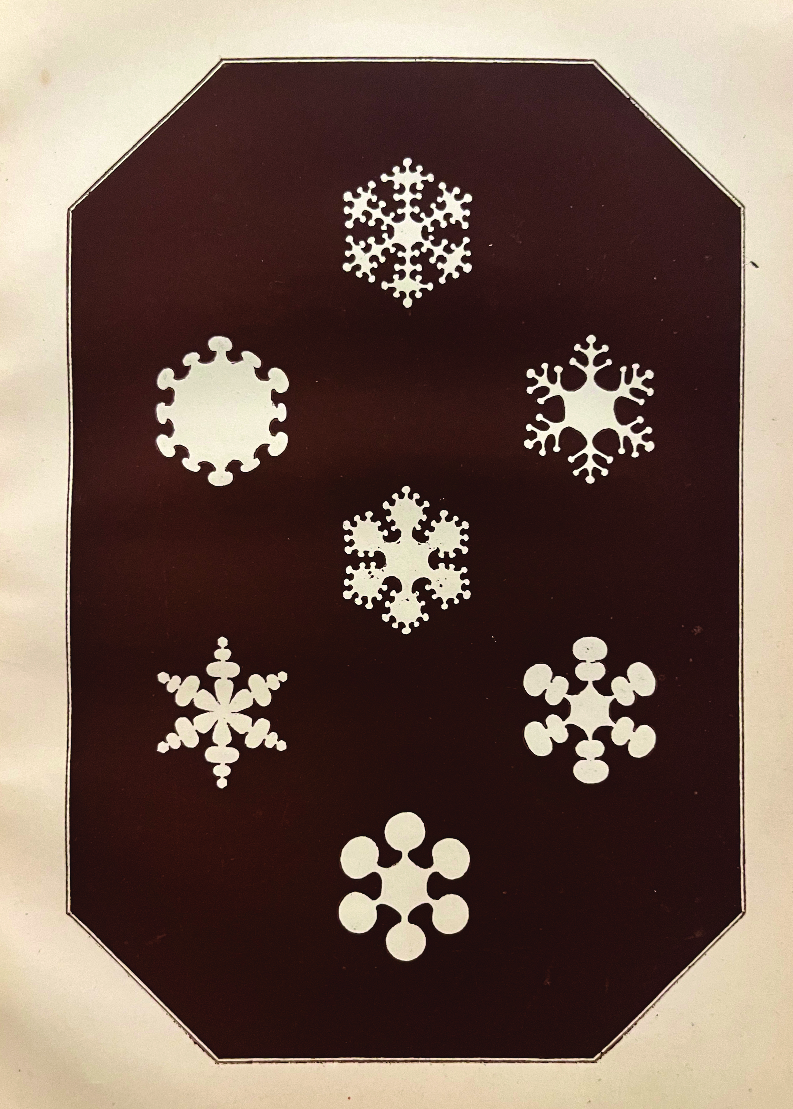 Seven illustrated snowflakes on a brown background