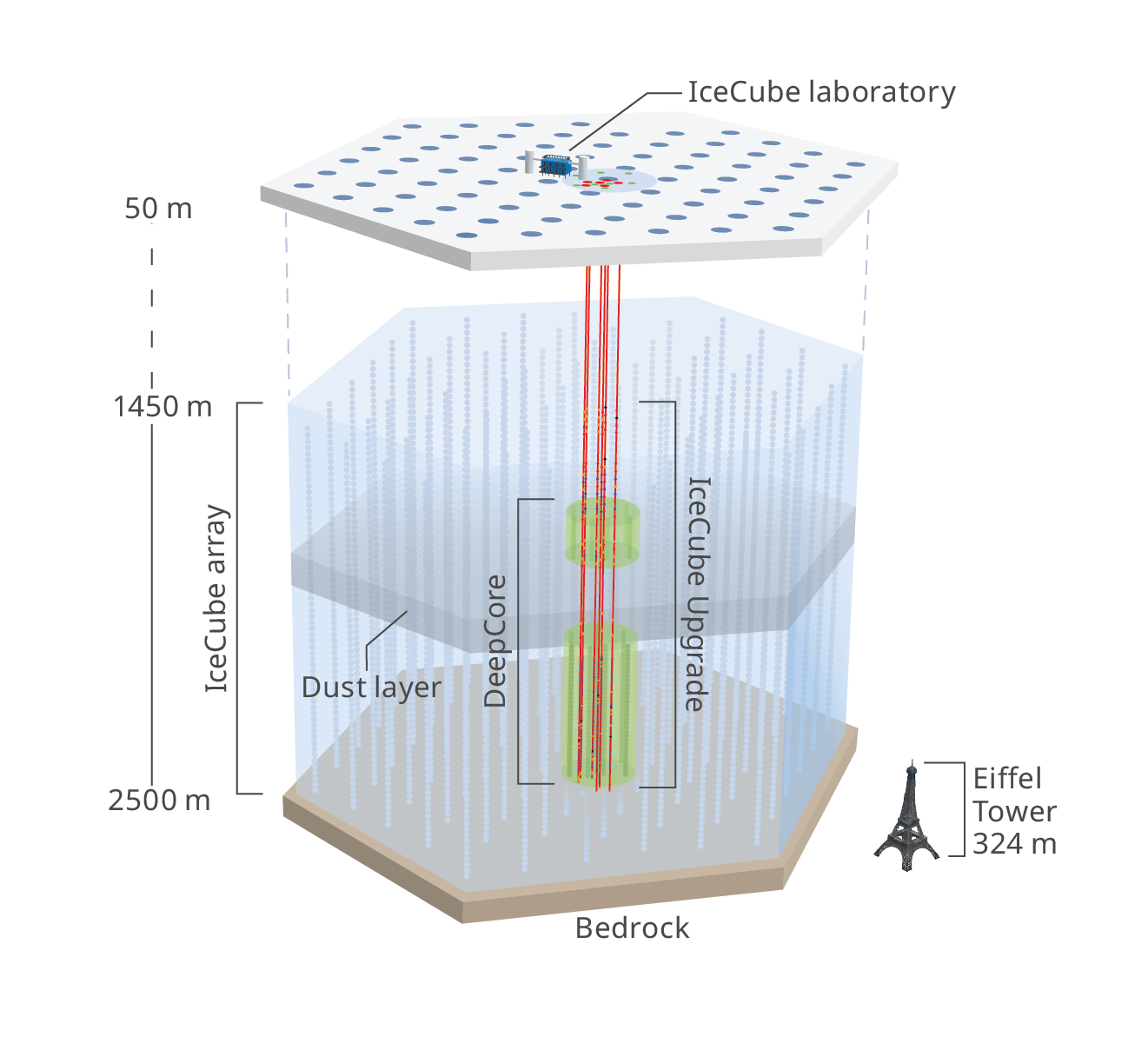 Diagram of IceCube’s sensor array.