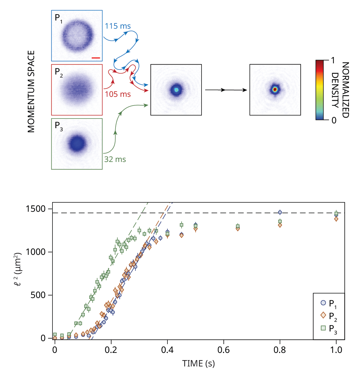A plot shows three blue circular clouds with different density profiles in momentum space. Lines with arrows show that they evolve toward the same state over different amounts of time: the first over 115 milliseconds, the second over 105 milliseconds, and the third over 32 milliseconds, before they all evolve to the same final state condensed at the center of the momentum space plot, as indicated by a colorbar scale of normalized density. A graph at the bottom shows time in seconds on the x-axis and the coherence length squared on the y-axis. Three curves on the graph that represent the three different density profiles are shown to have the same maximum slope, represented by dashed lines.