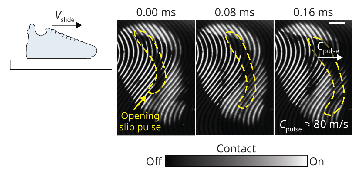 A sketch depicts a sneaker sliding on a plate. Three images spanning a period of 0.16 milliseconds show the ridges of the sneaker’s sole in white on a black background. A black patch labeled “opening slip pulse” travels to the right at roughly 80 meters per second.