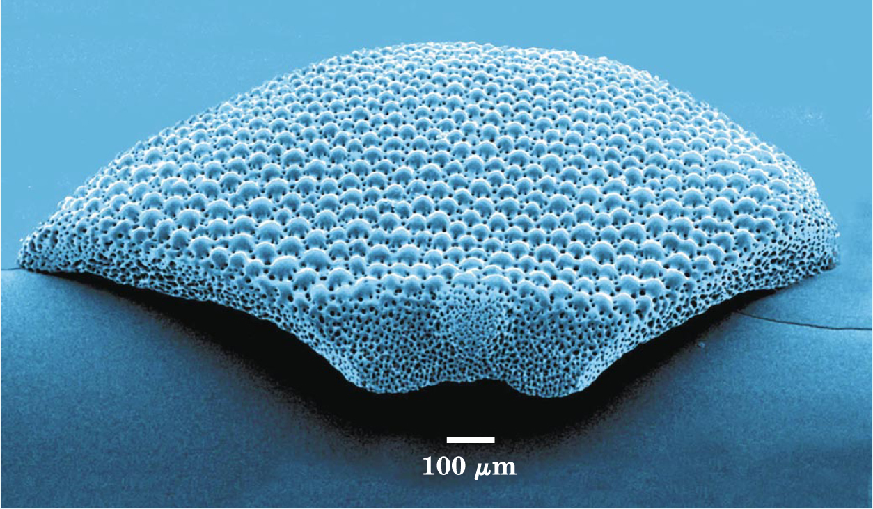 PTO.v54.i10.20_1.f2.jpg