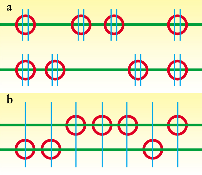 PTO.v54.i5.14_1.f2.jpg