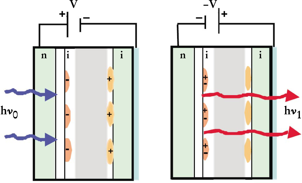 PTO.v54.i5.46_1.f7.jpg