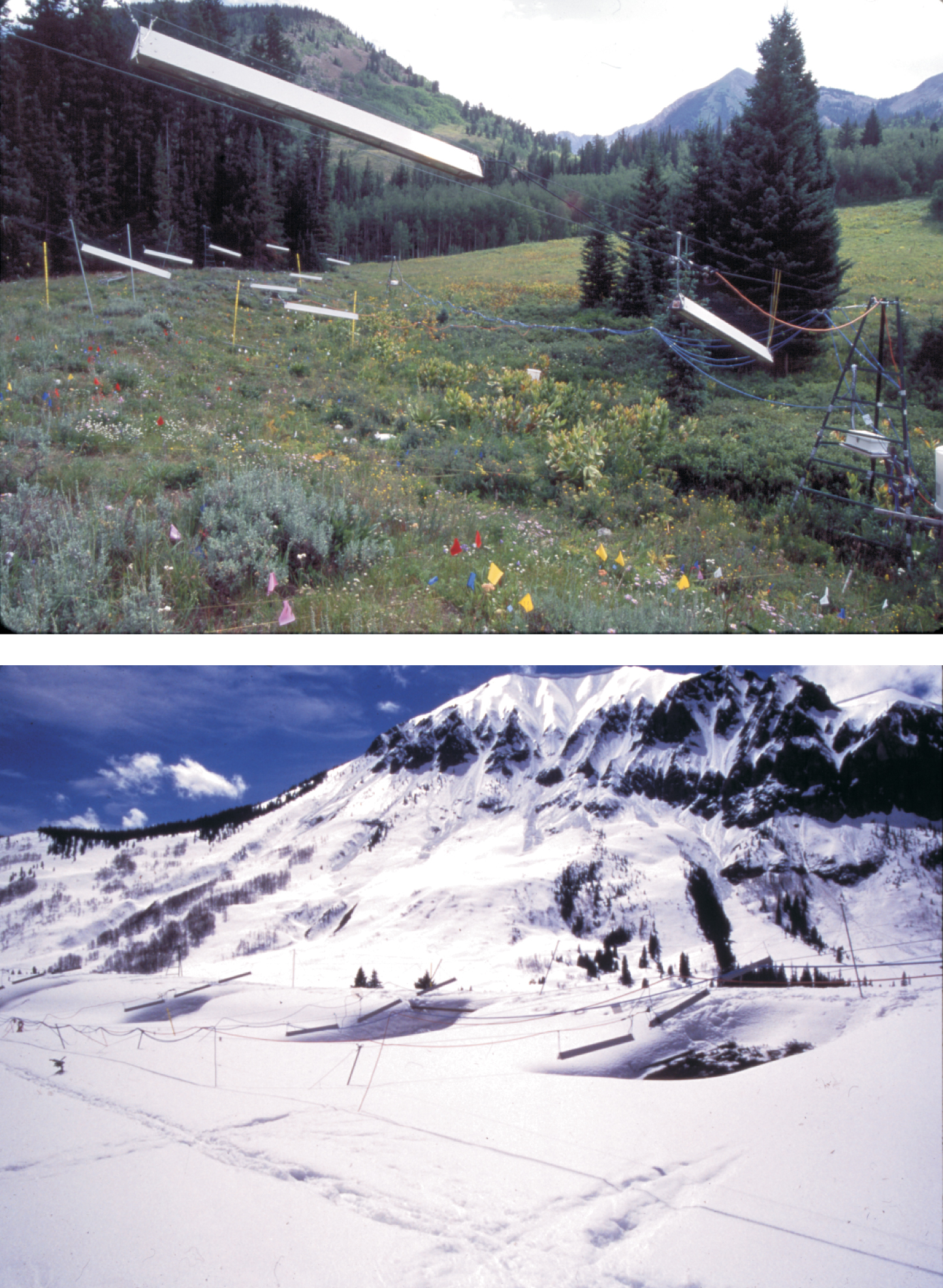 PTO.v55.i10.29_1.f3.jpg
