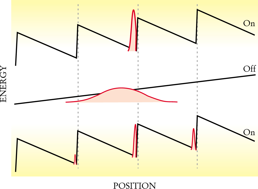 PTO.v55.i11.33_1.f2.jpg