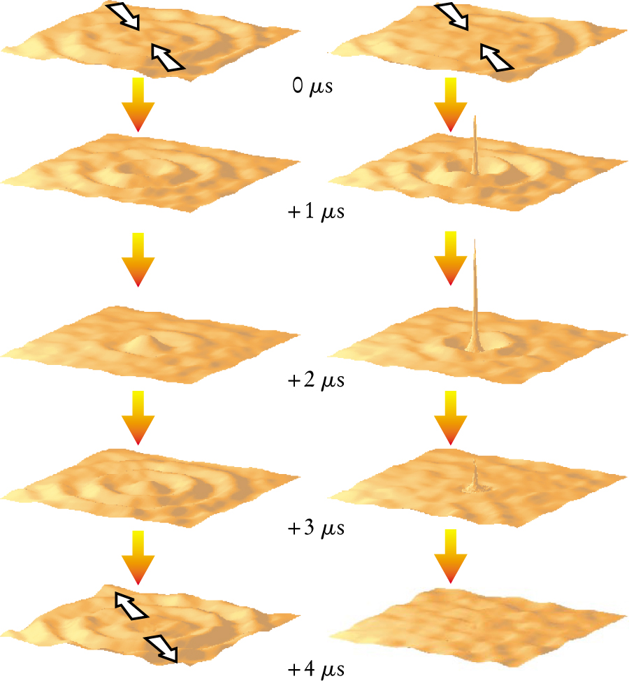 PTO.v55.i12.22_1.f2.jpg