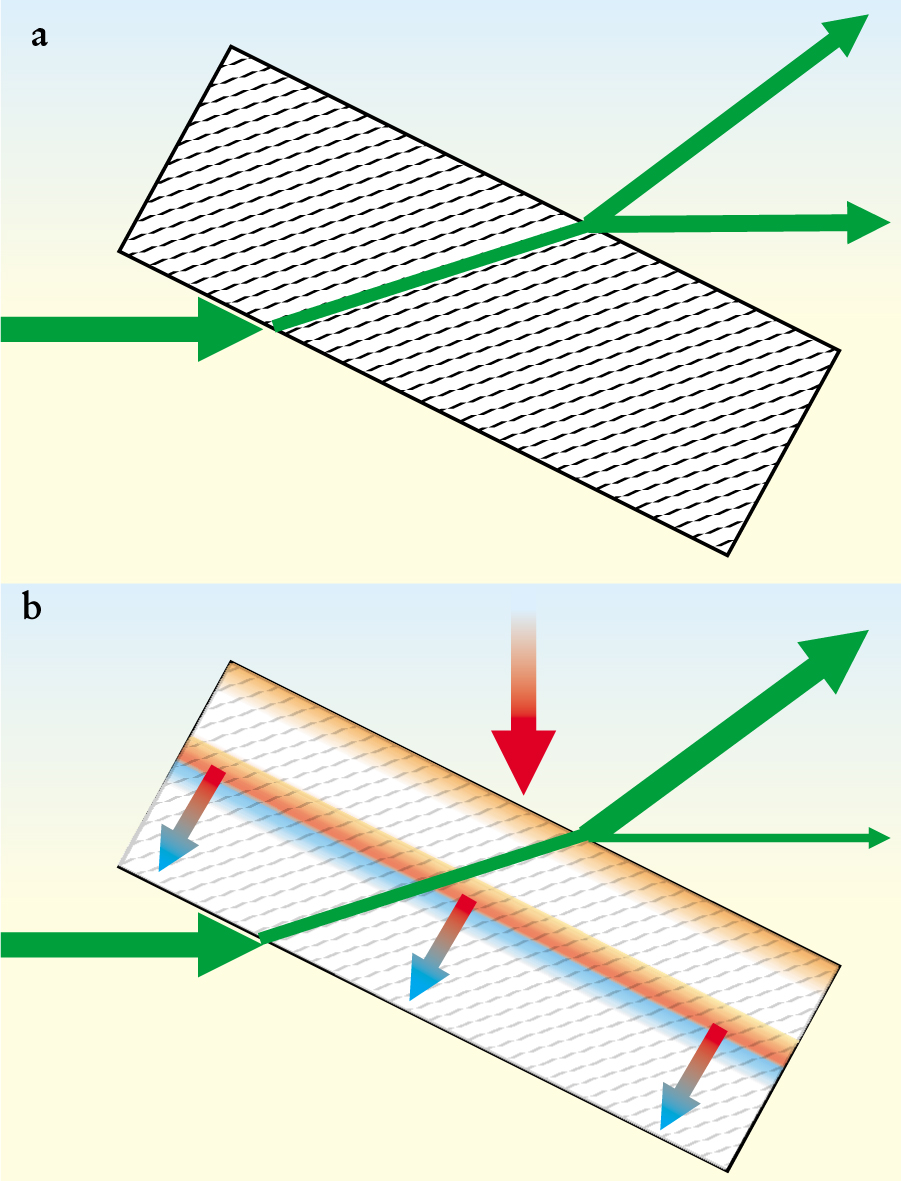 PTO.v55.i2.16_1.f1.jpg