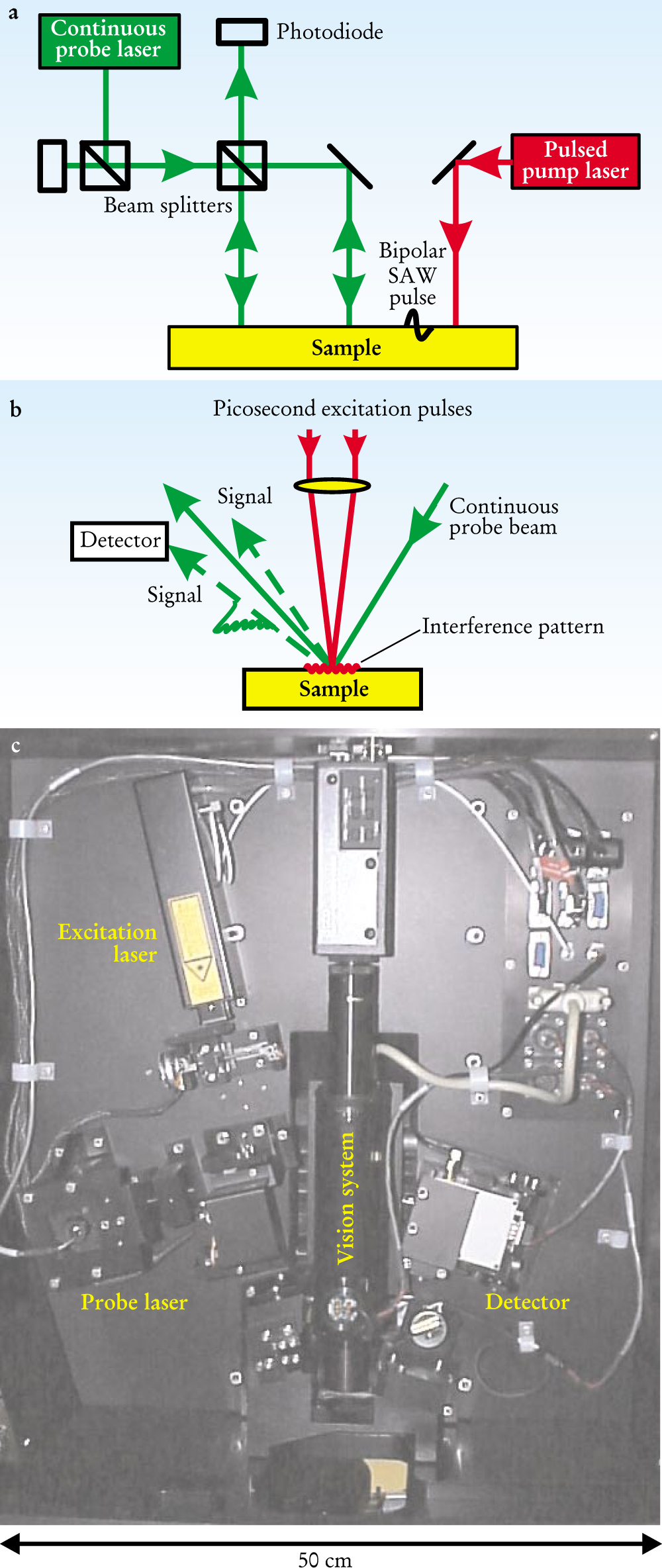 PTO.v55.i3.42_1.f3.jpg