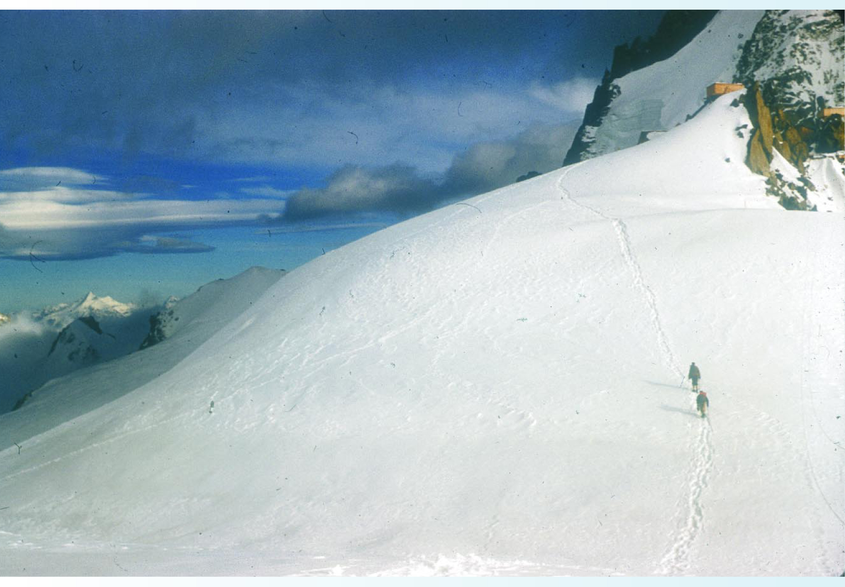 PTO.v55.i6.44_1.f6.jpg