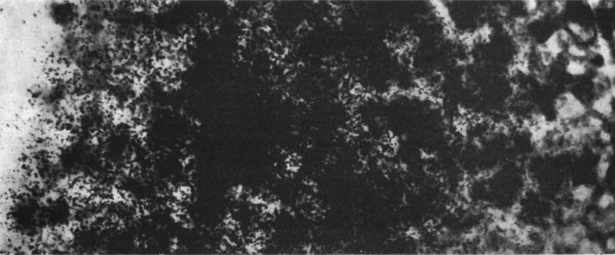 PTO.v55.i9.52_1.f1.jpg