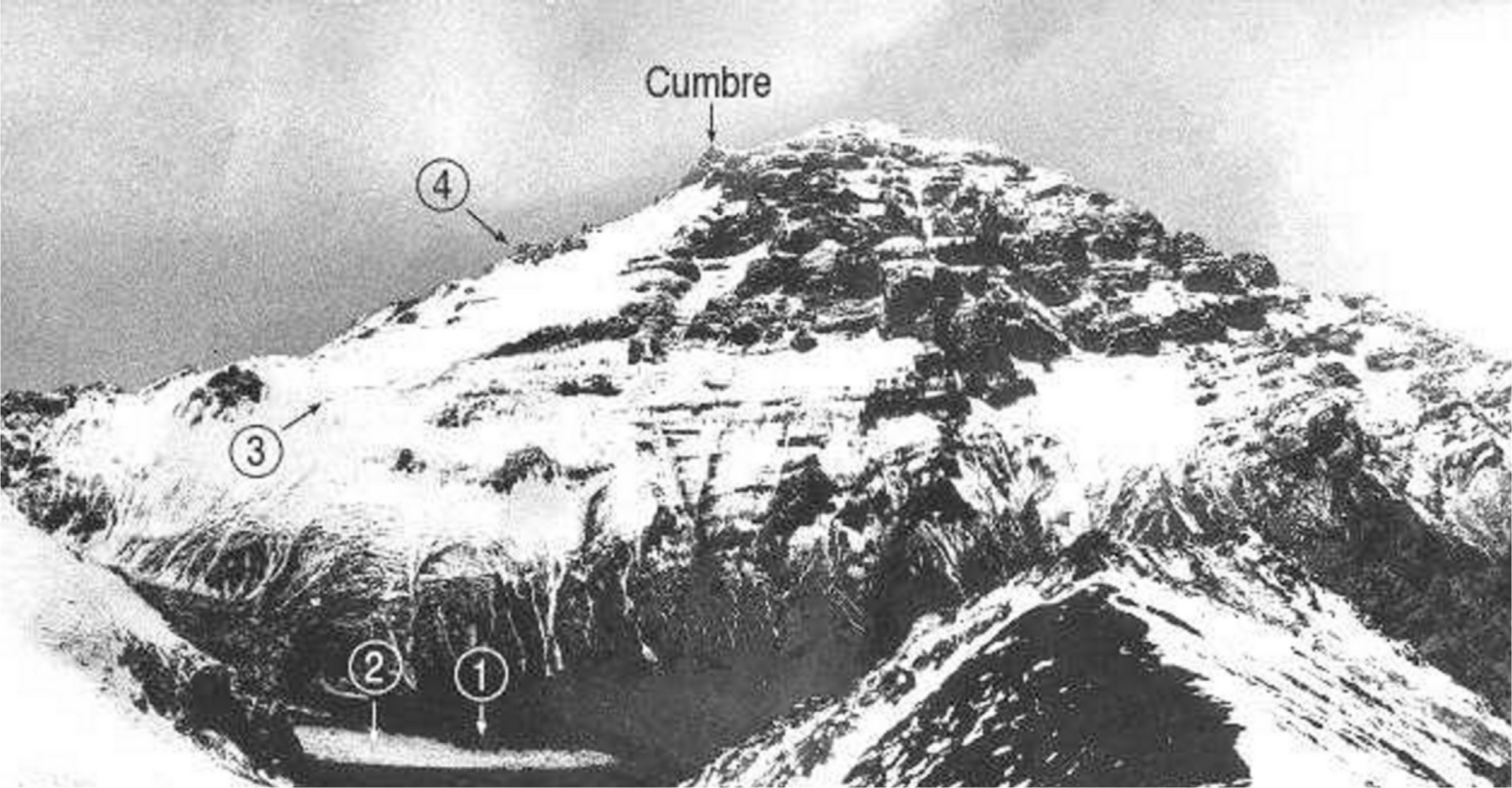 PTO.v56.i1.32_1.f3.jpg