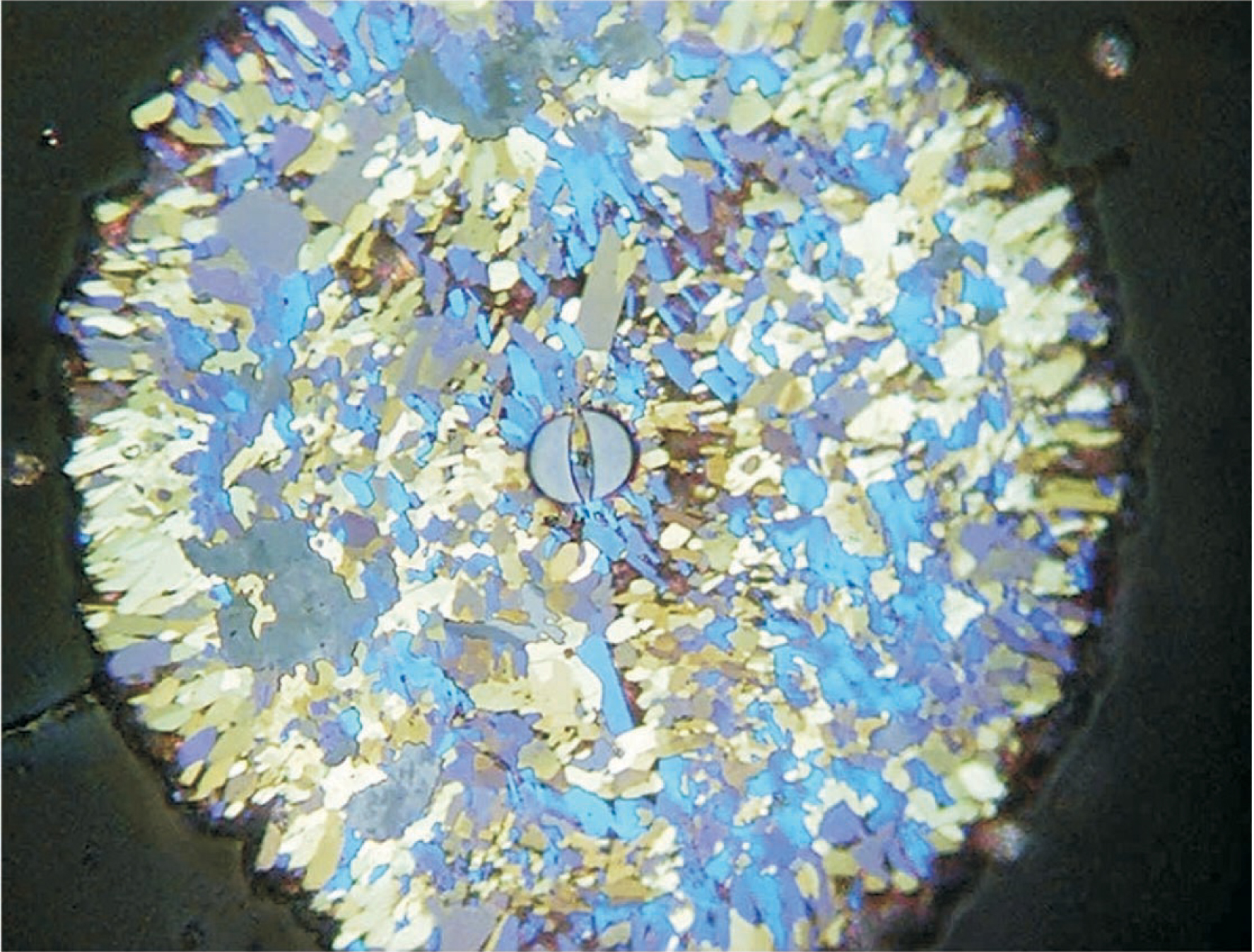 PTO.v56.i3.34_1.f1.jpg