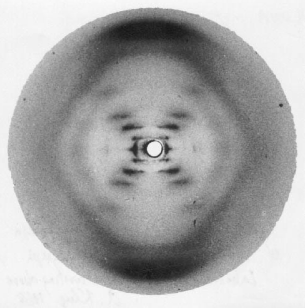 PTO.v56.i3.42_1.f3.jpg