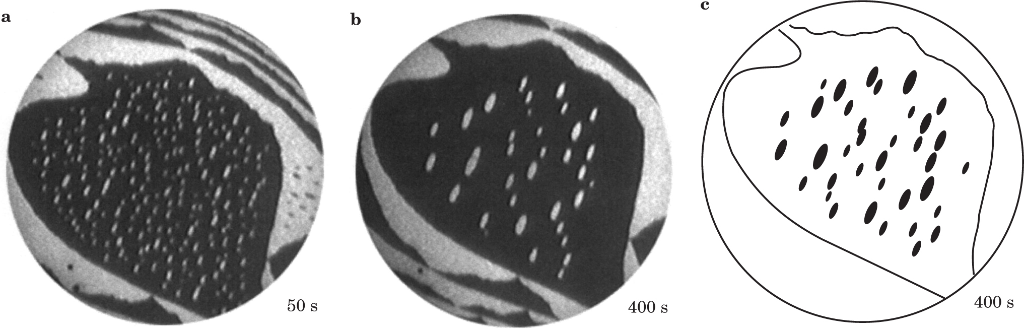 PTO.v56.i3.50_1.f3.jpg