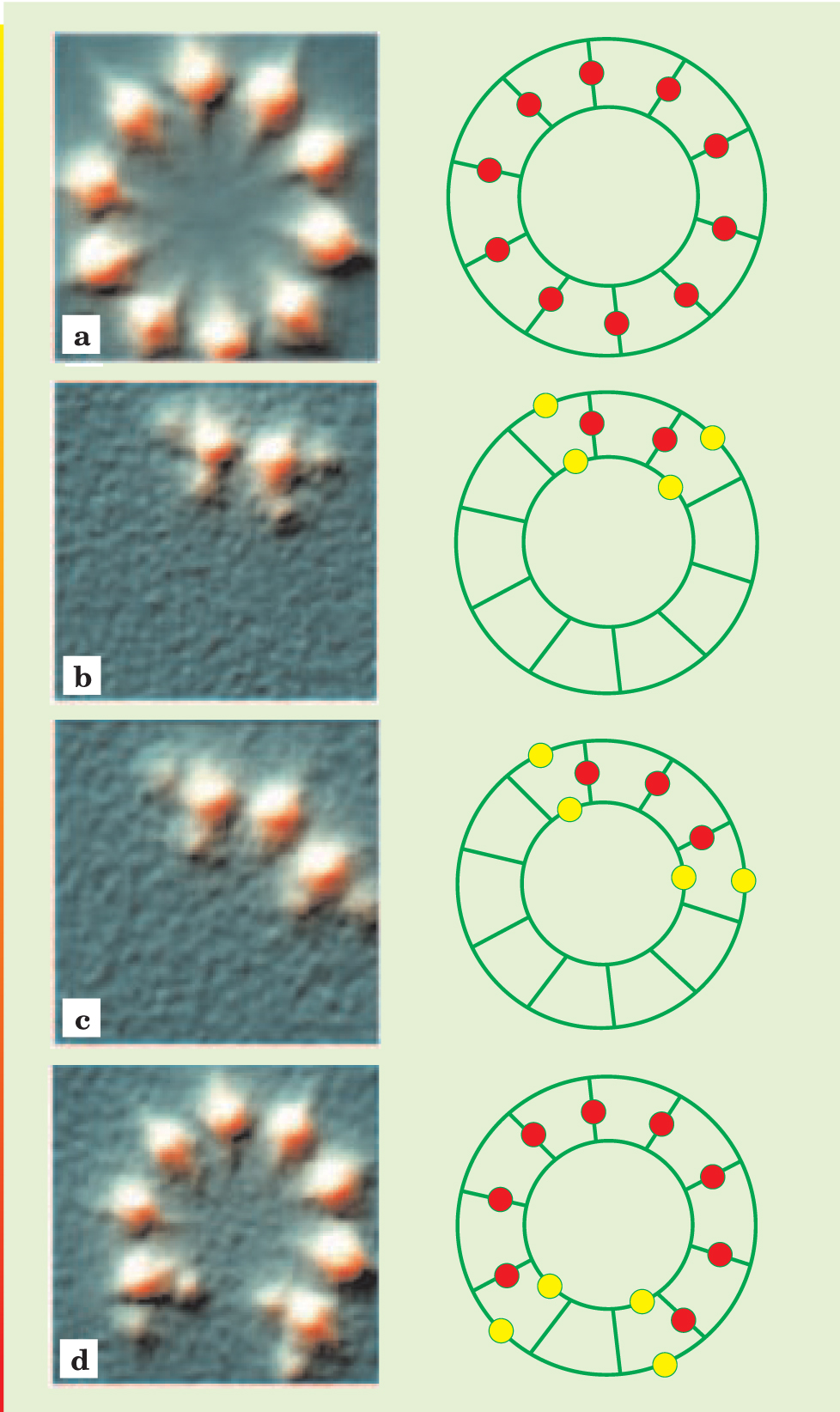 PTO.v57.i1.43_1.f2.jpg