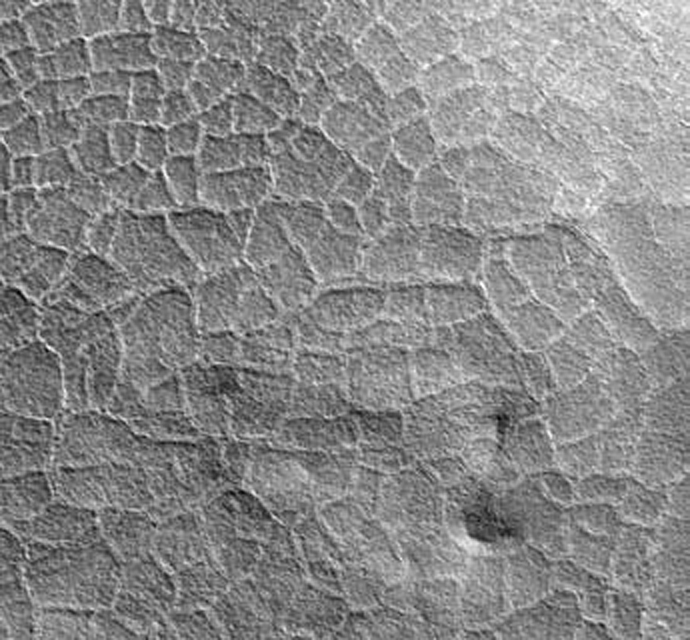 PTO.v57.i4.71_1.f3.jpg