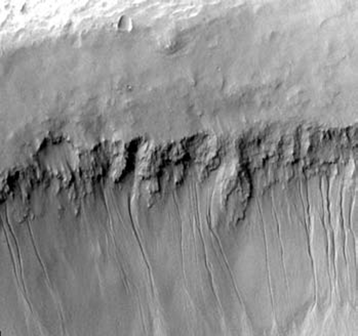PTO.v57.i4.71_1.f5.jpg