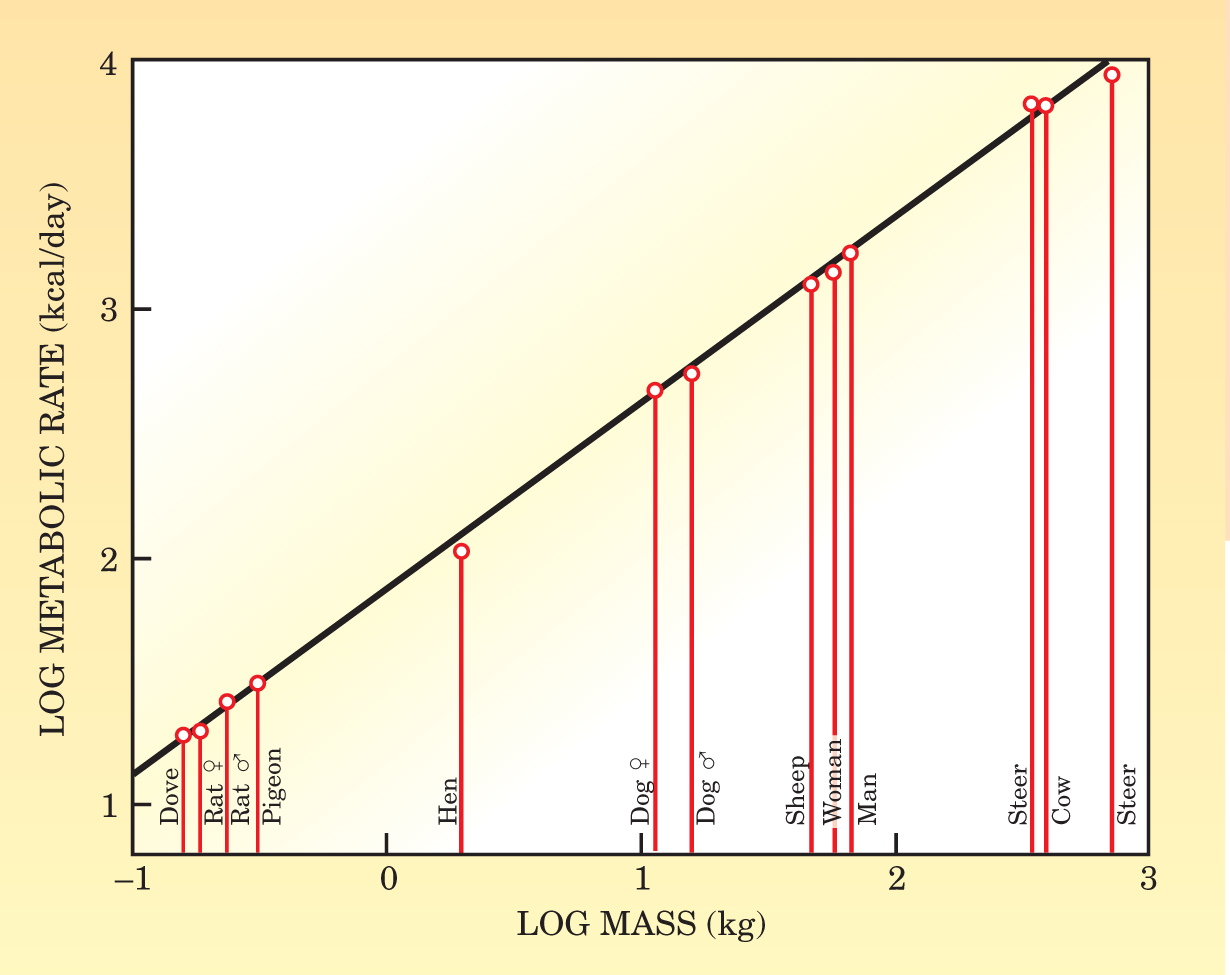 PTO.v57.i9.36_1.f1.jpg