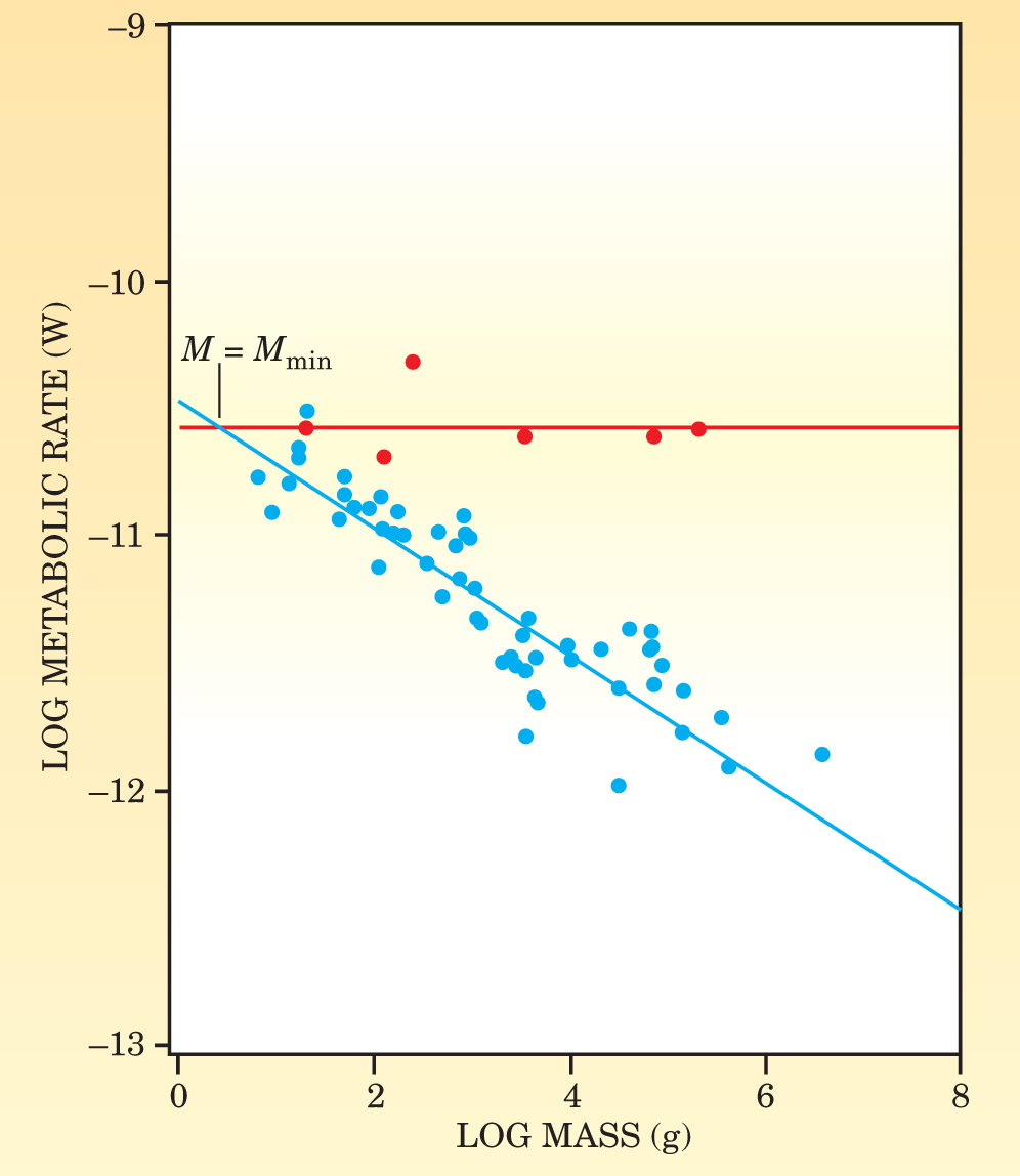 PTO.v57.i9.36_1.f4.jpg