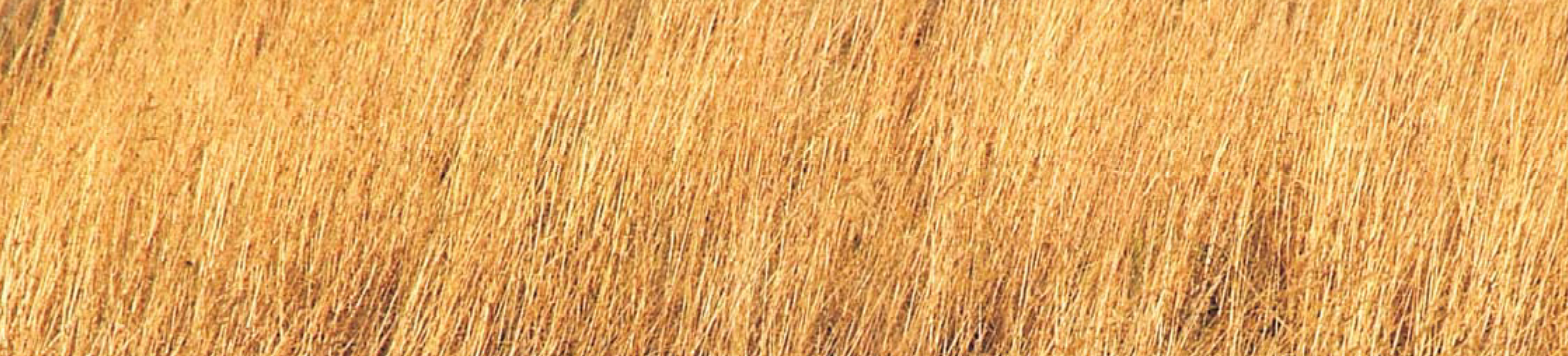 PTO.v58.i1.42_1.f3.jpg