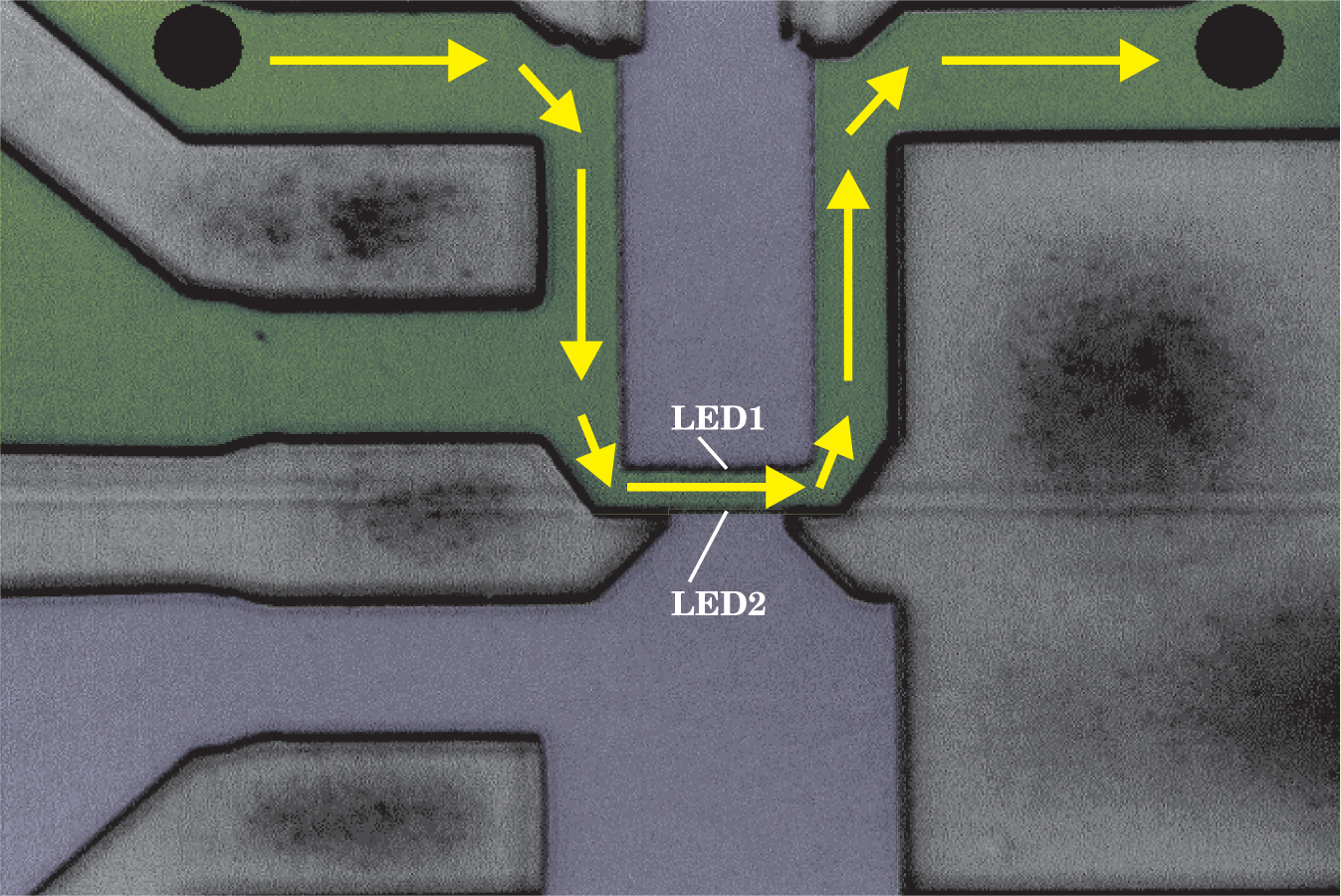 PTO.v58.i2.17_1.f3.jpg