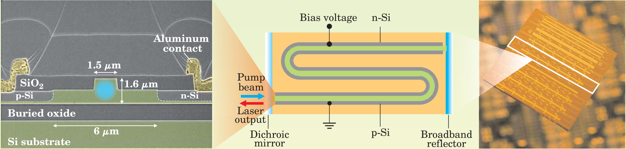 PTO.v58.i4.19_1.f1.jpg