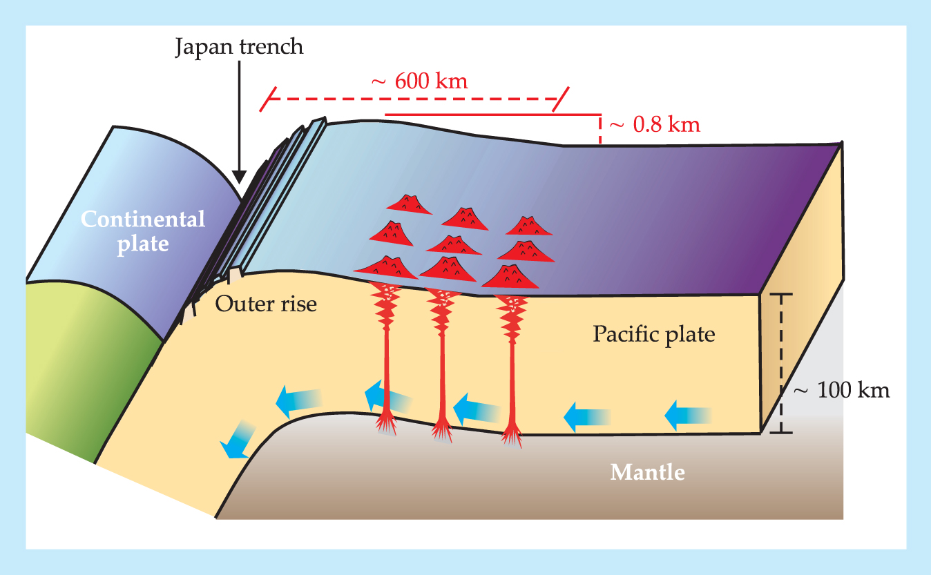 PTO.v59.i10.21_1.f1.jpg