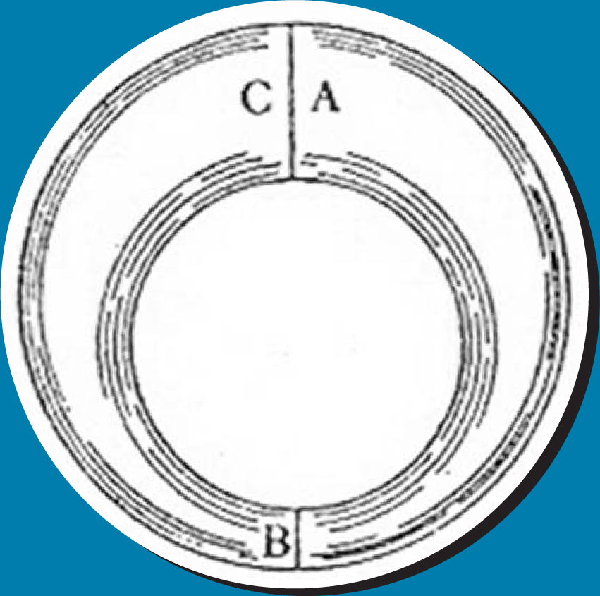 PTO.v59.i10.31_1.f1.jpg