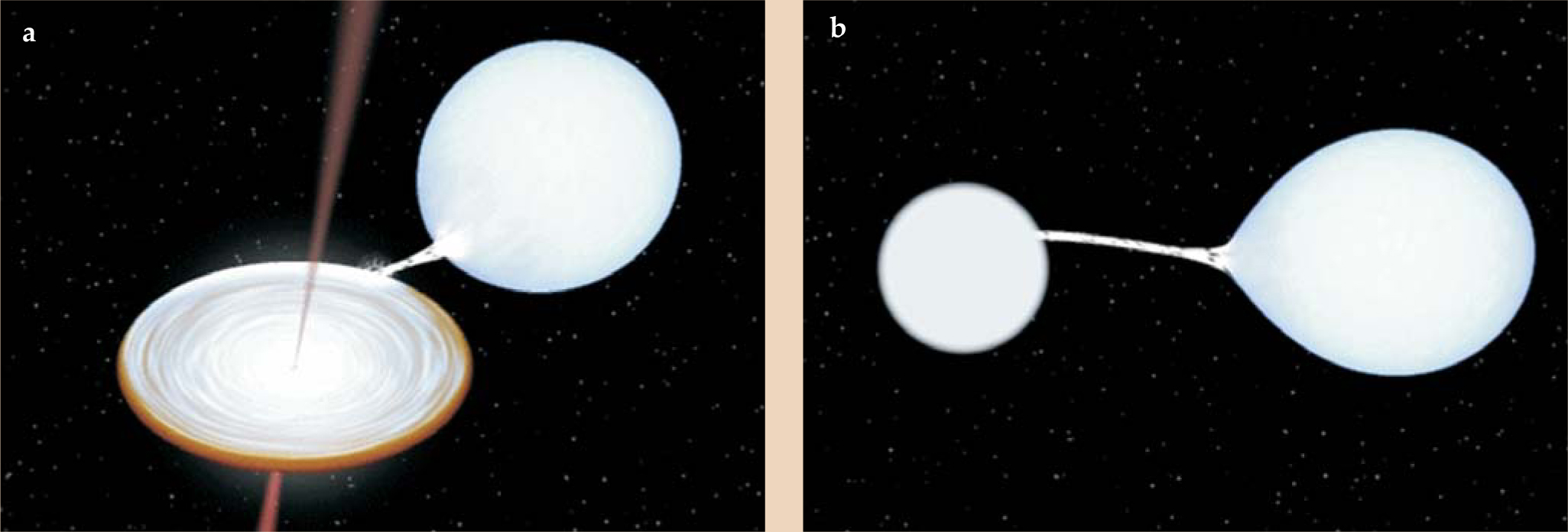 PTO.v59.i7.26_1.f1.jpg