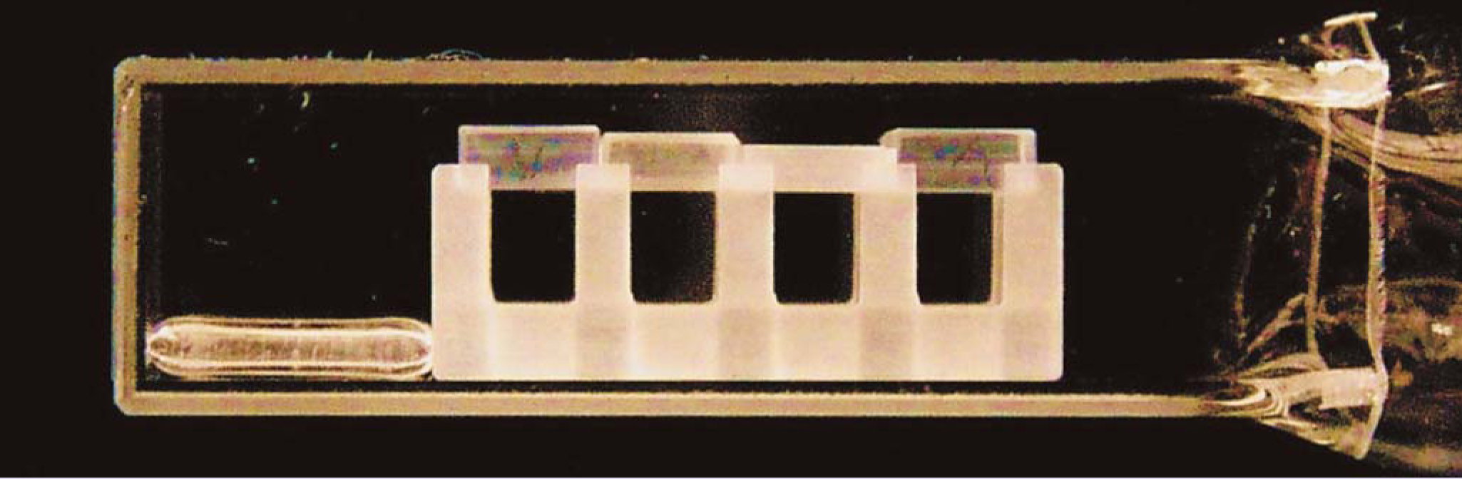 PTO.v60.i2.40_1.f4.jpg