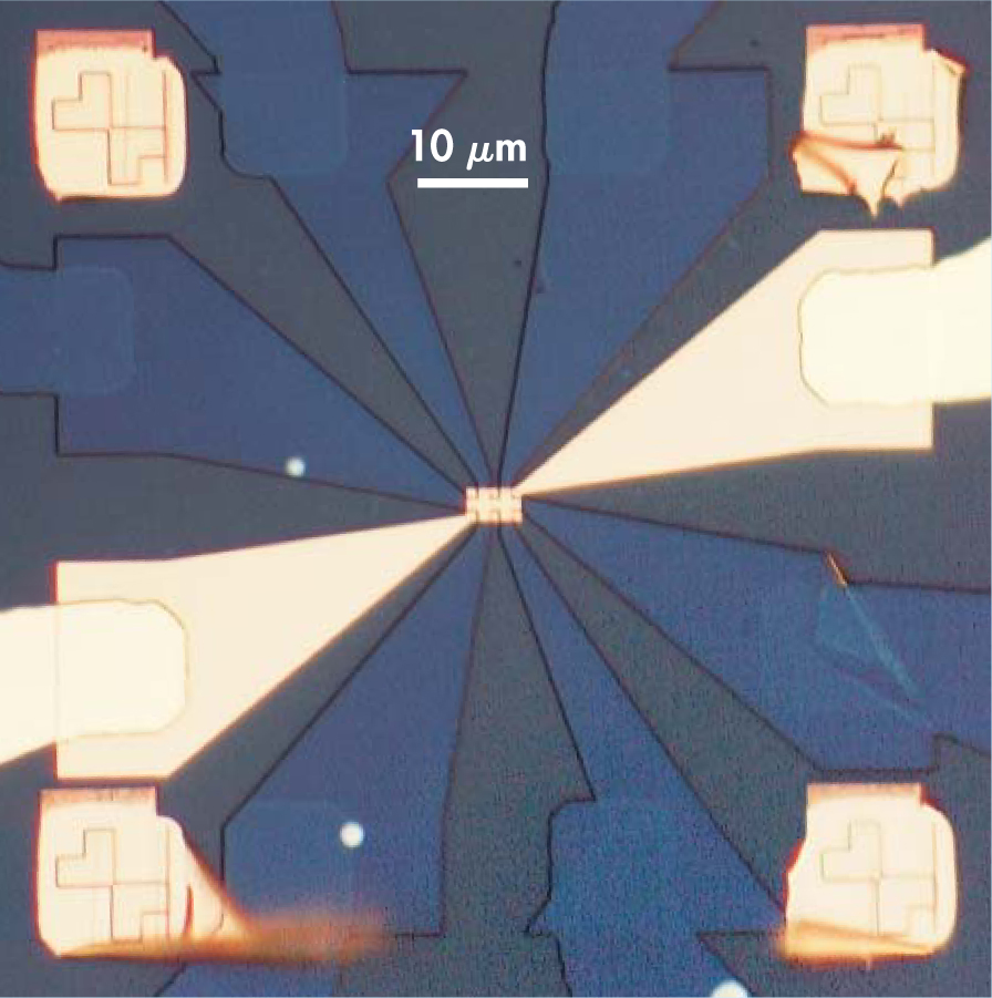 PTO.v61.i1.19_1.f2.jpg