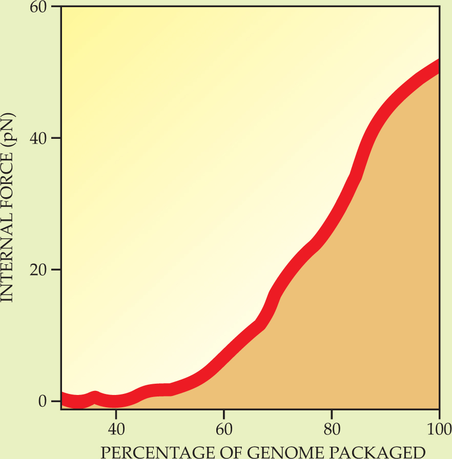PTO.v61.i1.42_1.f4.jpg