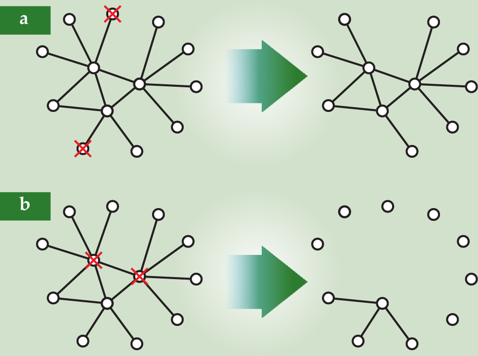 PTO.v61.i11.33_1.f3.jpg