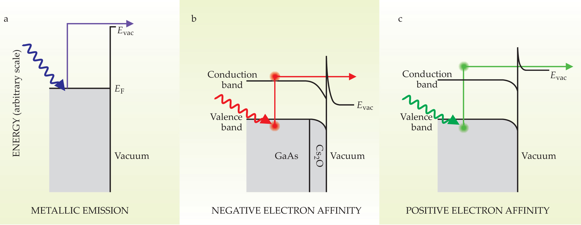 PTO.v61.i2.44_1.f2.jpg