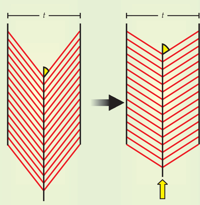 PTO.v61.i4.21_1.f1.jpg