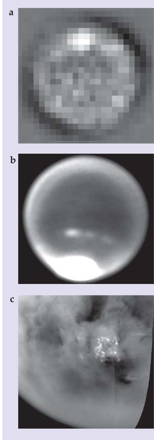 PTO.v61.i8.34_1.f3.jpg