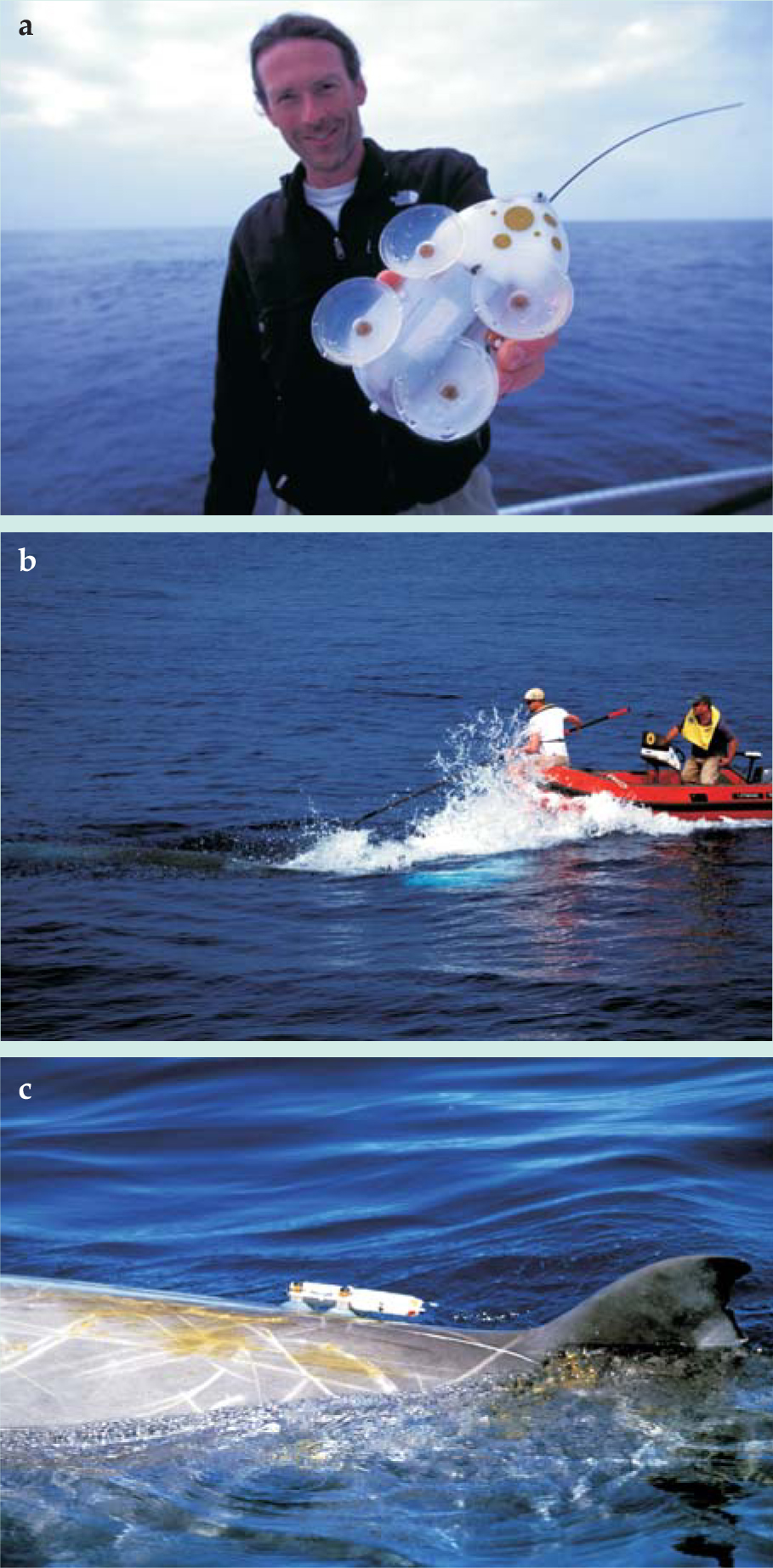 PTO.v62.i11.39_1.f2.jpg