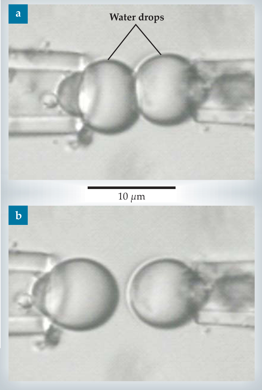 PTO.v62.i3.31_1.f6.jpg