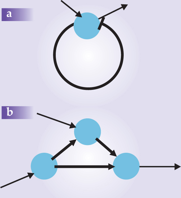 PTO.v62.i3.8_1.f2.jpg