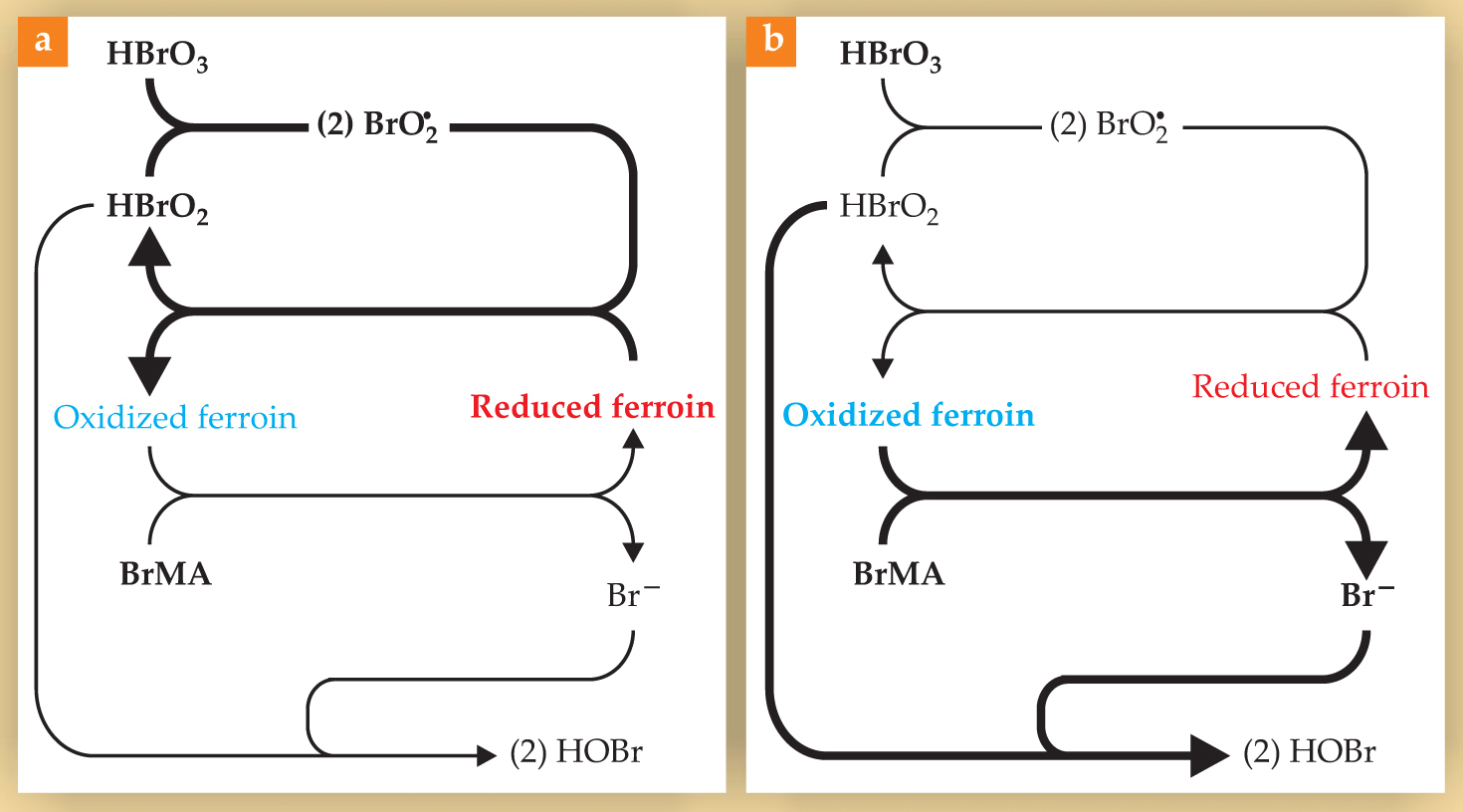 PTO.v62.i4.14_1.f1.jpg