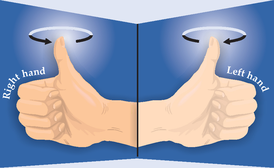 PTO.v63.i4.68_1.f1.jpg