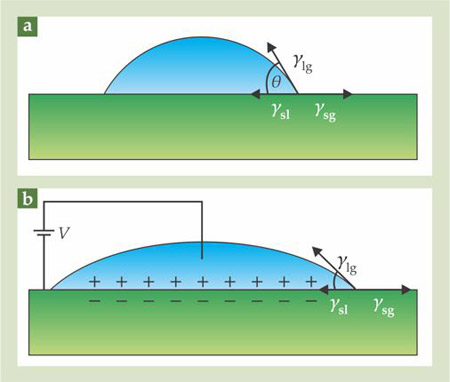 PTO.v64.i10.18_1.f1.jpg