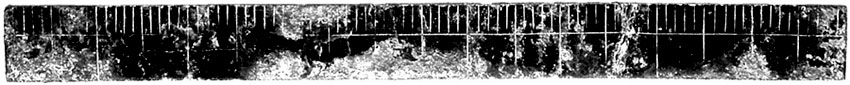 PTO.v64.i3.49_1.f1.jpg