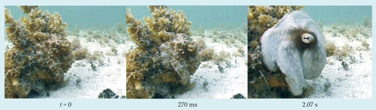 PTO.v64.i4.44_1.f4.jpg