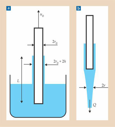PTO.v64.i6.31_1.f4.jpg