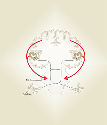 PTO.v64.i6.40_1.f6.jpg